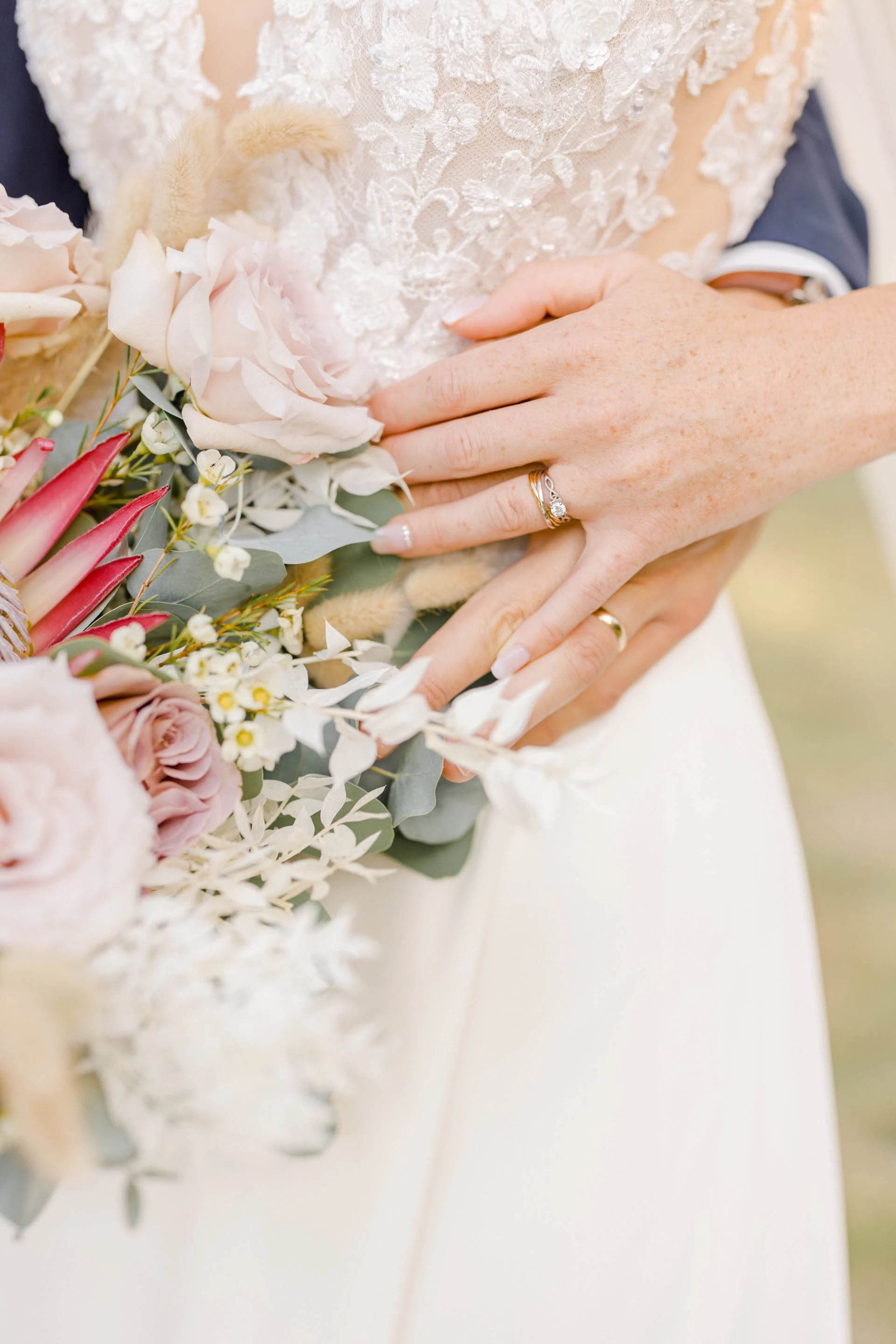 rose pétale composition florale gris marron